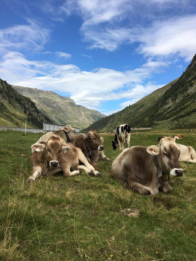 Ferienwohnungen Weiherbach - Hallenbad Berchtesgaden Ngoại thất bức ảnh